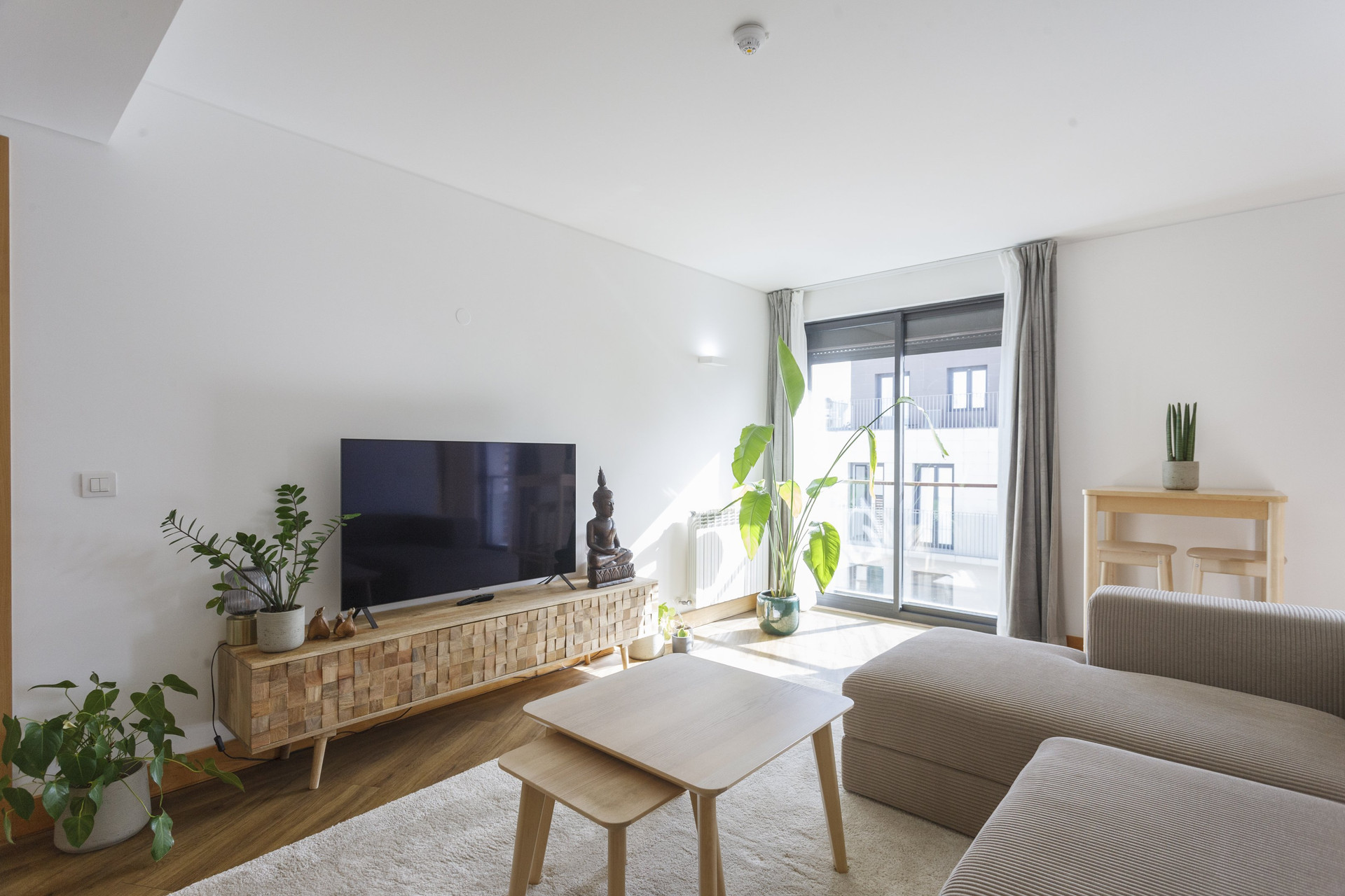 Living room TV and plants