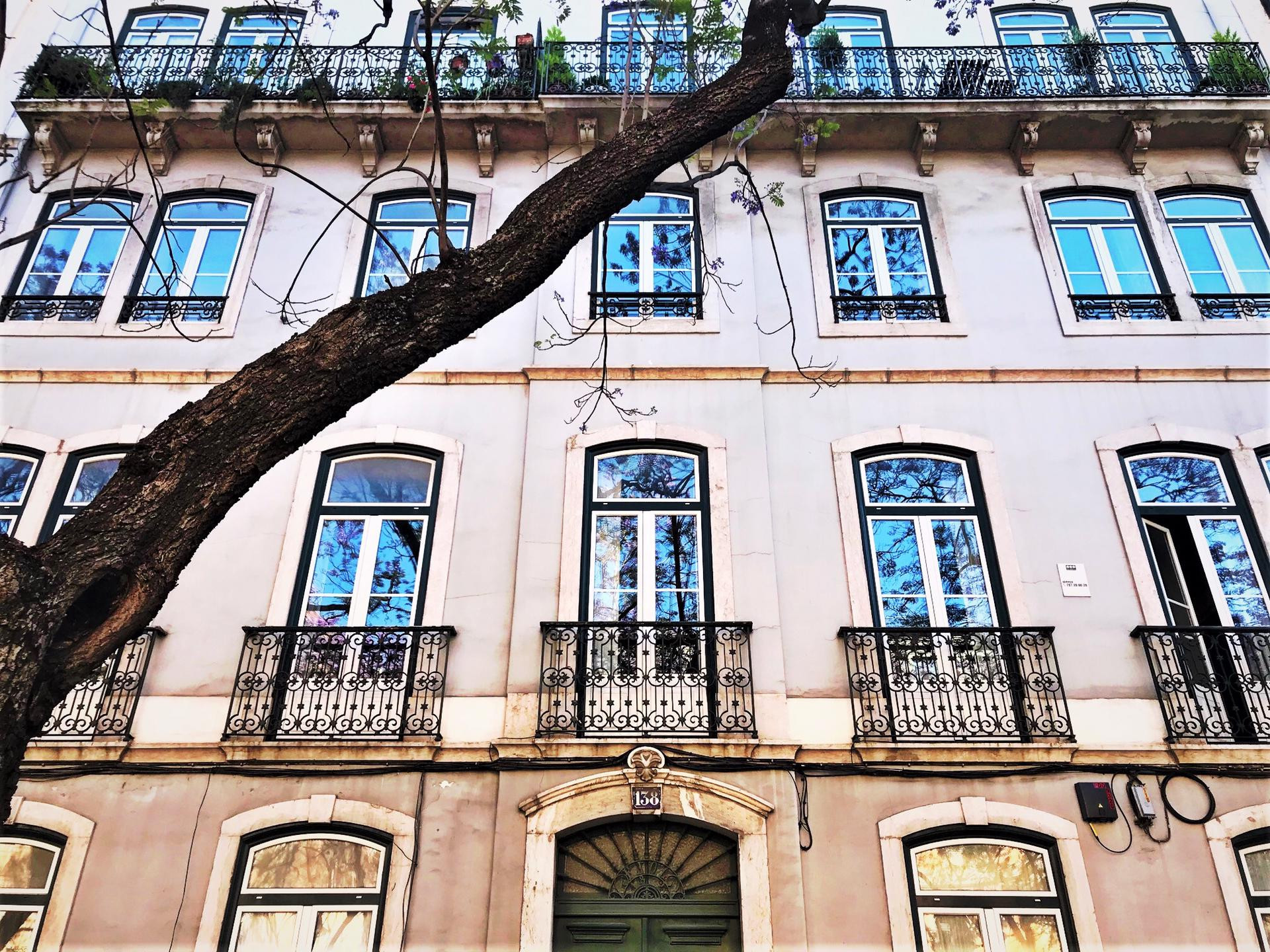The building 