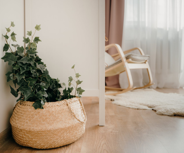 Resort Stories | For Cozy And Comfort Retreat