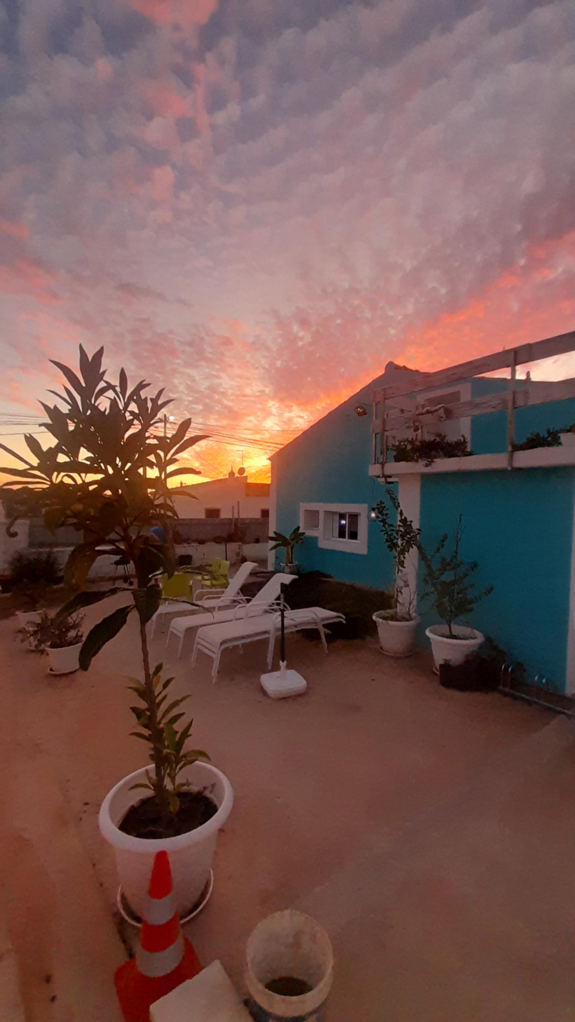 garden with sunbeds
