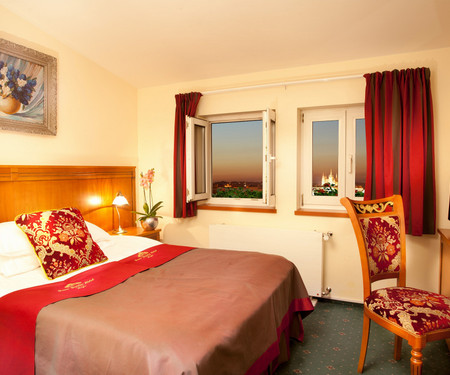 Single room in 4*hotel - Prague Castle view