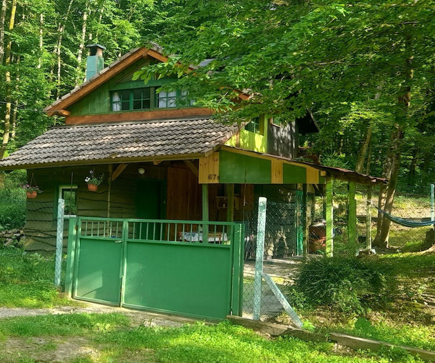 Holiday home "Green Hut"