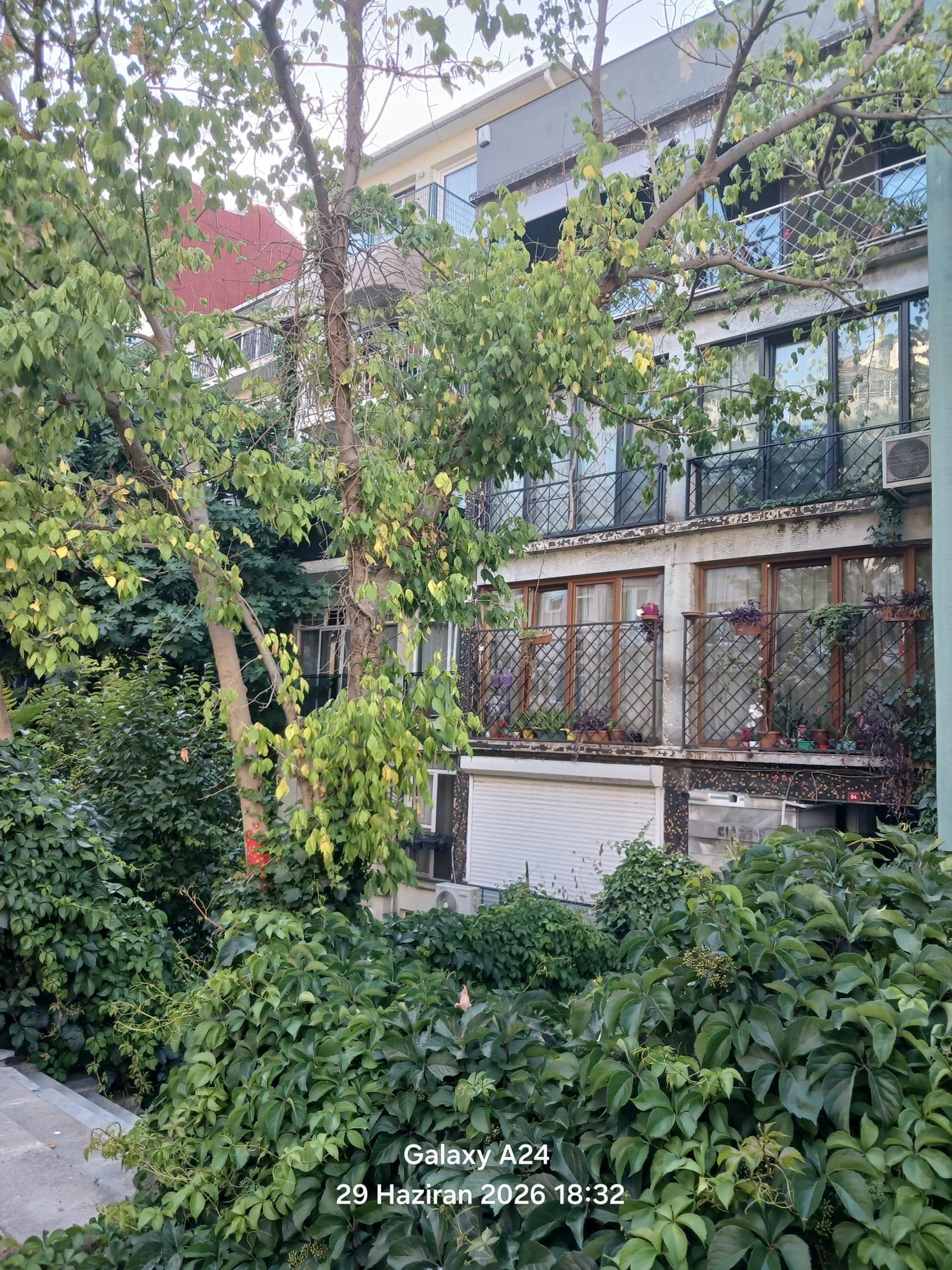 Building exterior with lush greenery