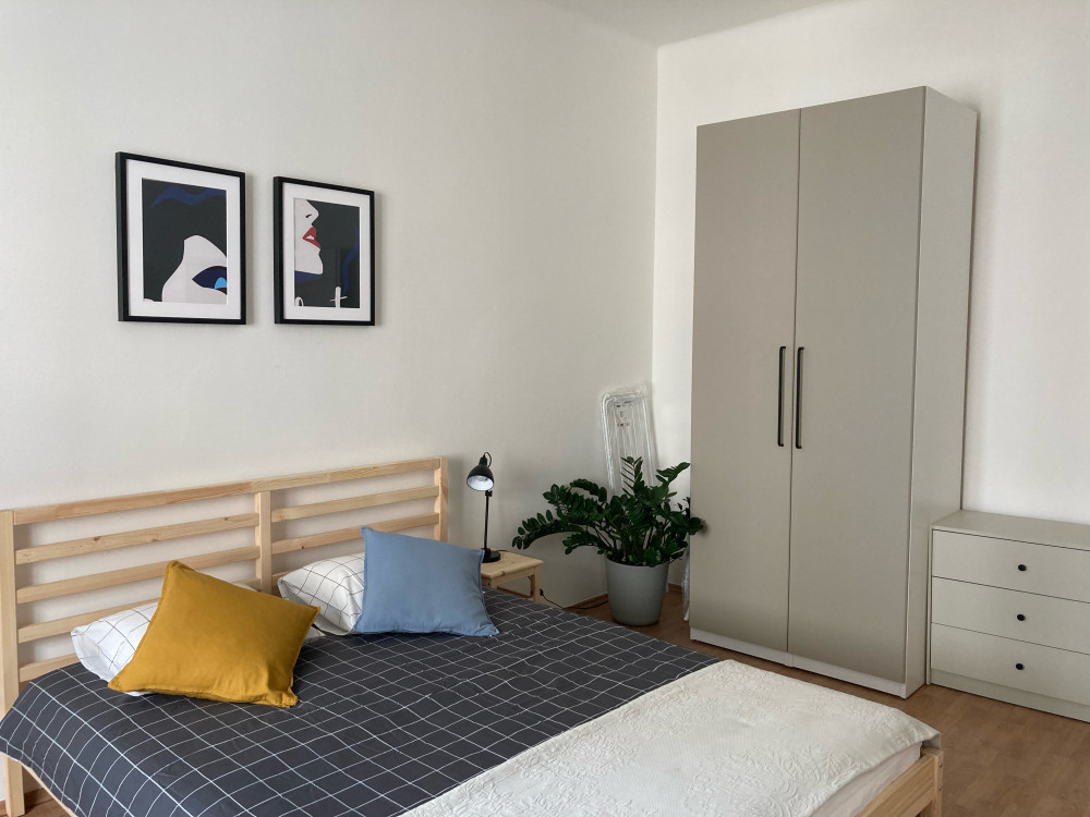 Renovated Flat Near The Vysehrad Castle preview