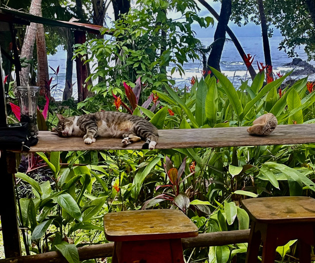 Tres Casas Blancas - beach and rainforest retreat