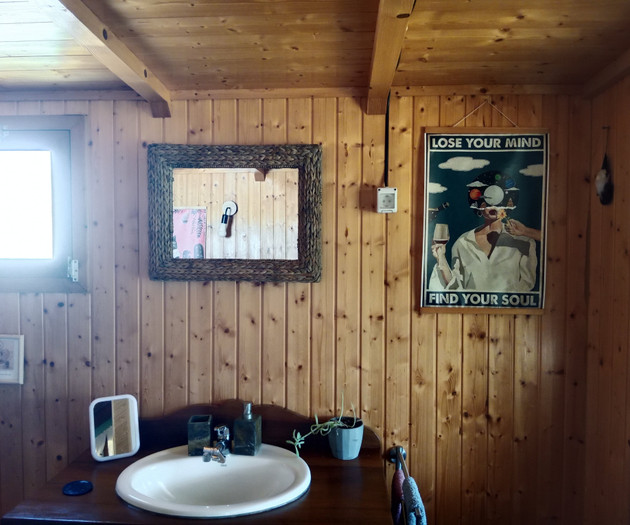 Rustic bathroom sink and mirror
