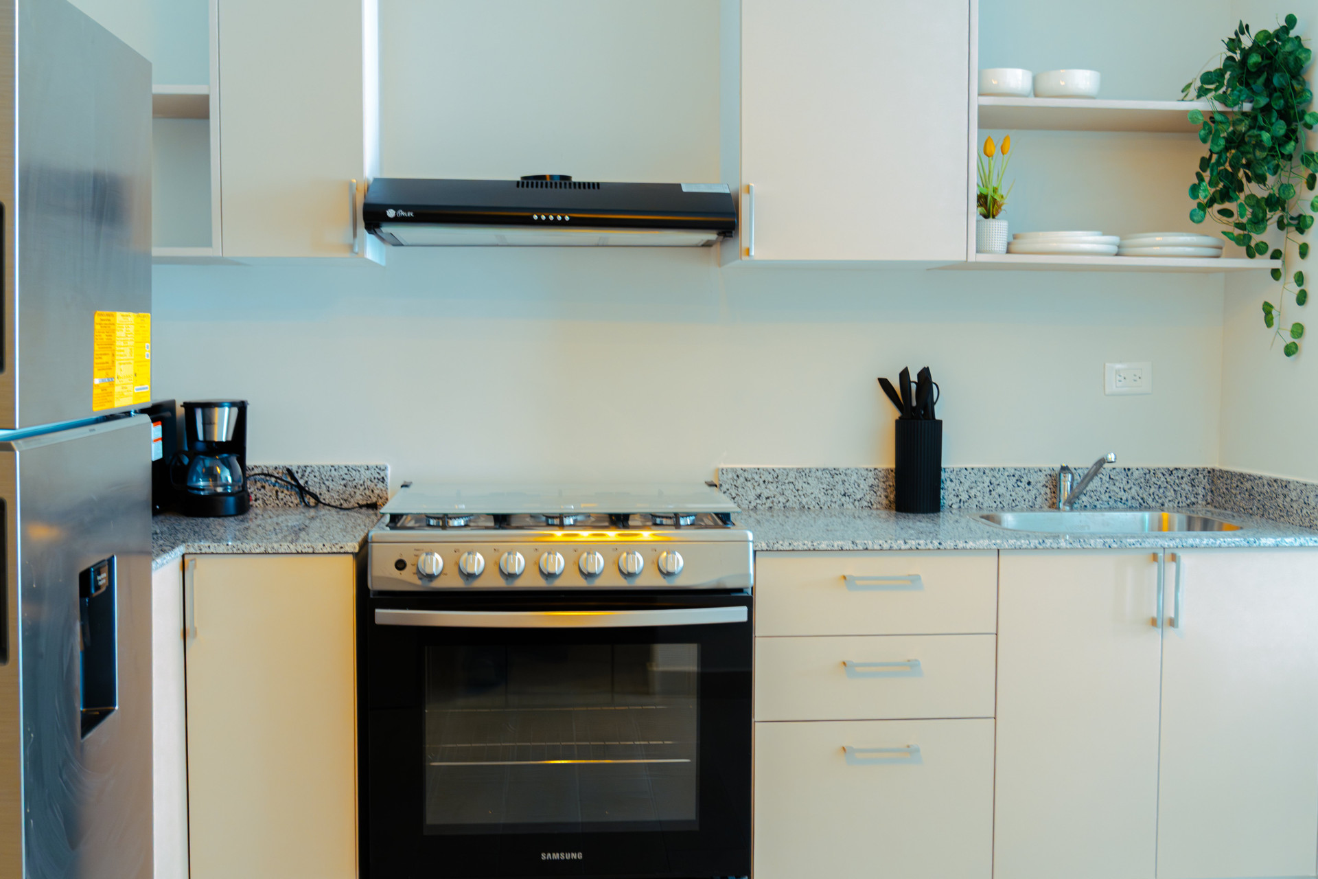 Modern kitchen with gas stove