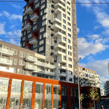 Landlords photo
