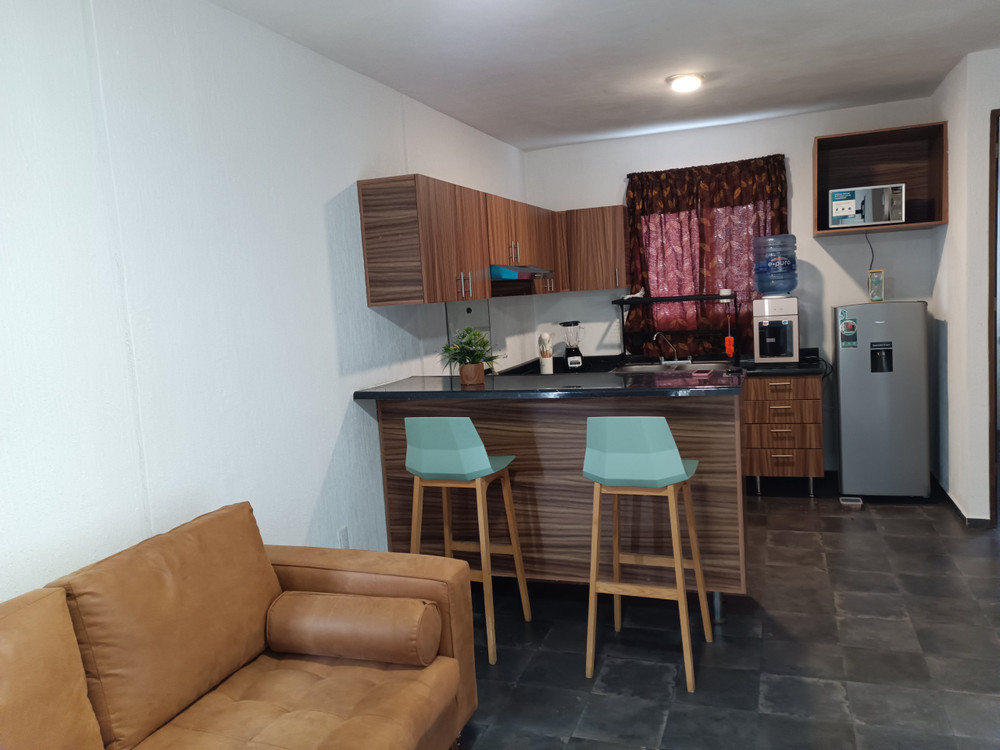 Visit  Zapopan preview