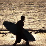 Landlords profile photo