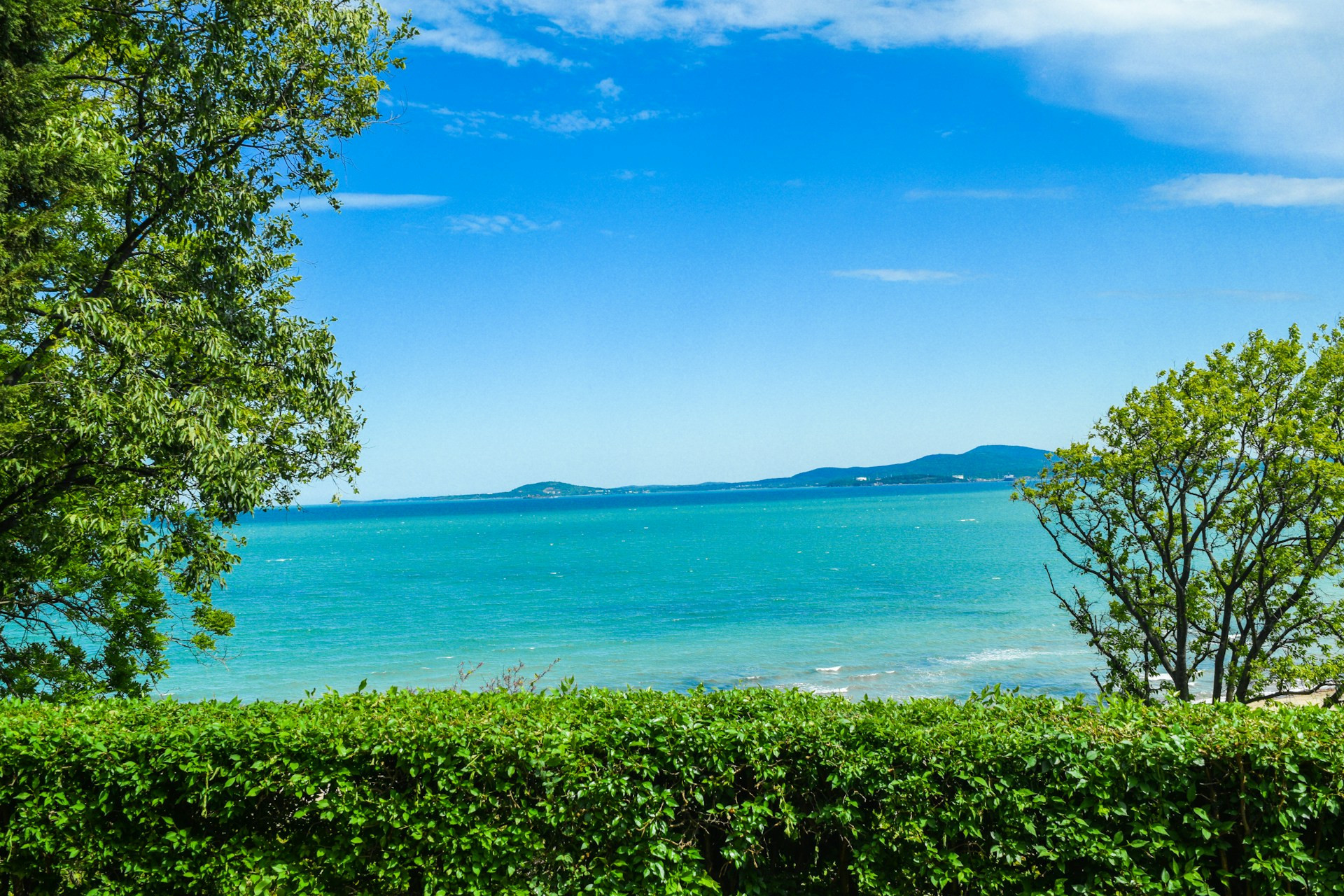 Apartments for rent in Burgas