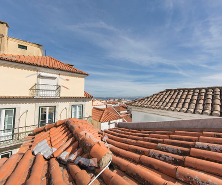 Vintage apartment in Rosa Street