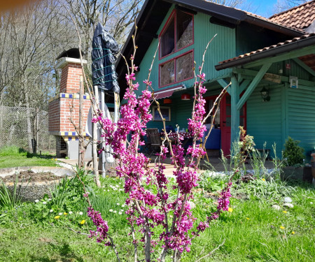 Healthy heart of Slovenia