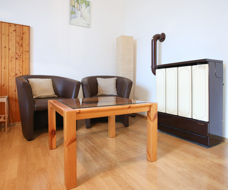 Inexpensive apartment for 2 near the city centre