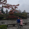 Xinyi G.