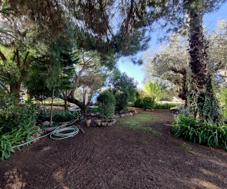 Private oasis in Alentejo