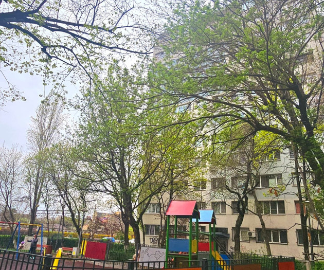 Apartments with a story