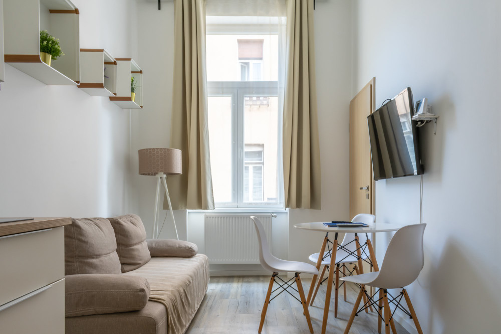 Cozy bedroom+living room apartment in the downtown preview