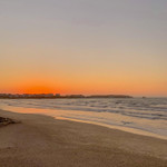 Landlords profile photo