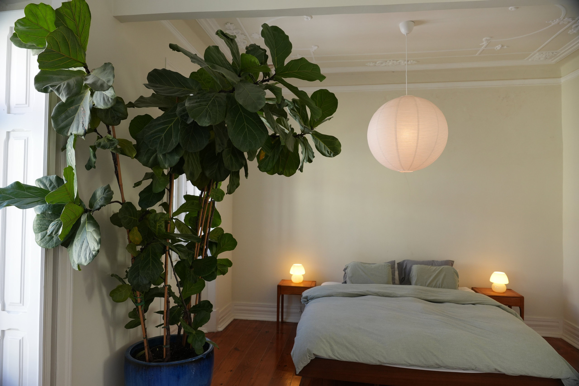 Bedroom with large fiddle-leaf fig