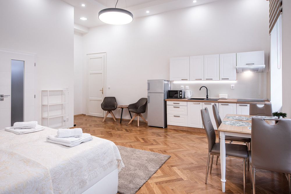 Newly renovated apartment in the center of Prague preview