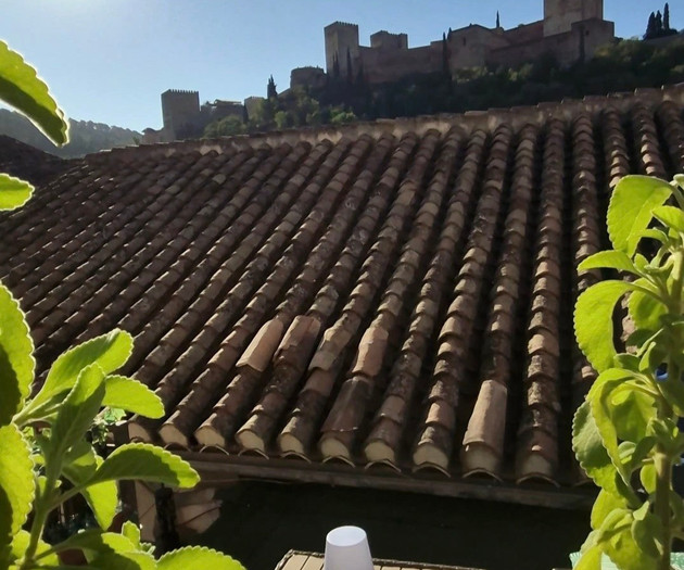 Duplex Penthouse with views of the Alhambra