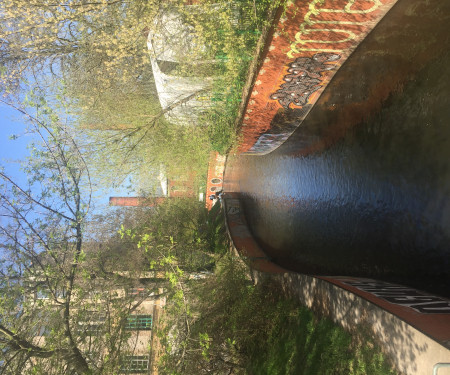 Bright, high celling, garden view, Mitte