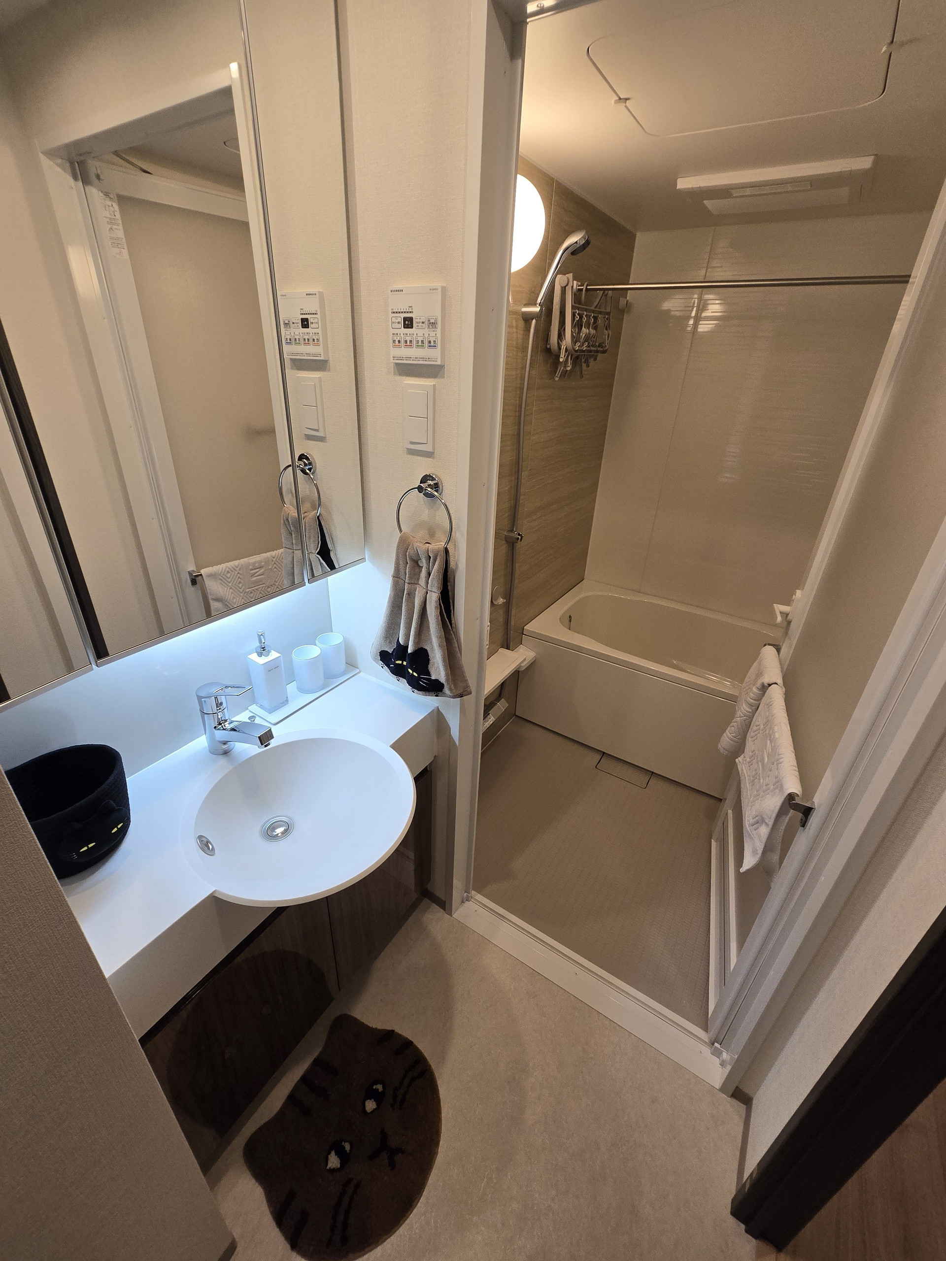 Bathroom sink and shower
