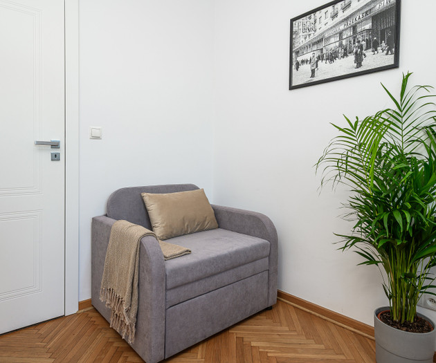 Lumina 3-room apart near the Royal Castle