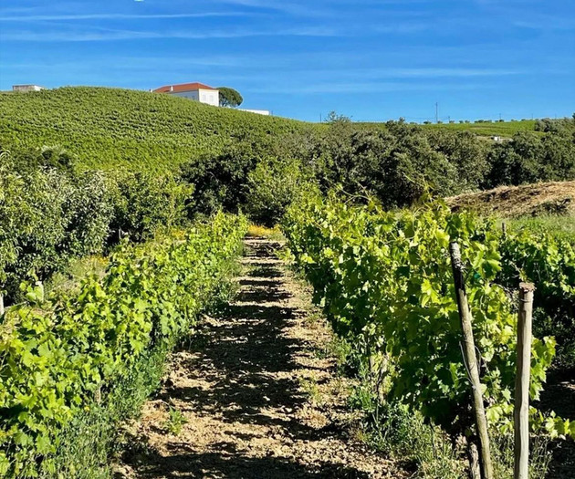 Rural Cottage 40 minutes from Lisbon