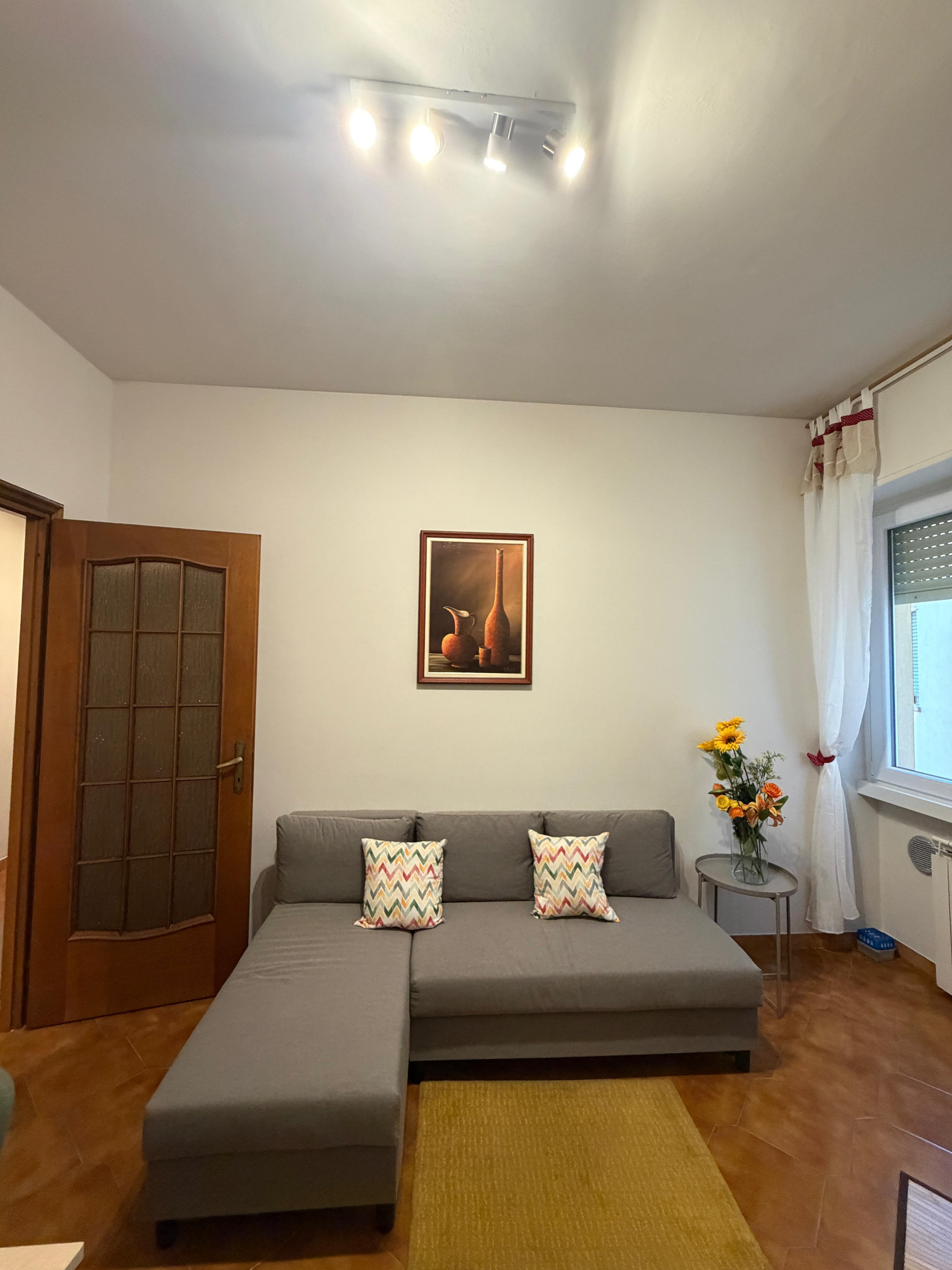 Living room with grey sofa
