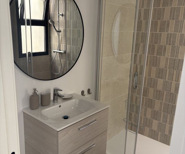 Bathroom sink and mirror