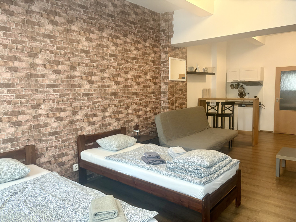 Studio apartment Zizkov preview