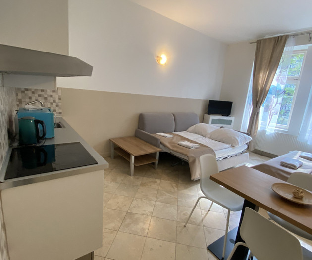 Wohnung 1+kk Nummer 15, Nové Město, Legerova