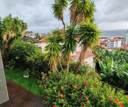 Modern house and garden central Funchal Madeira