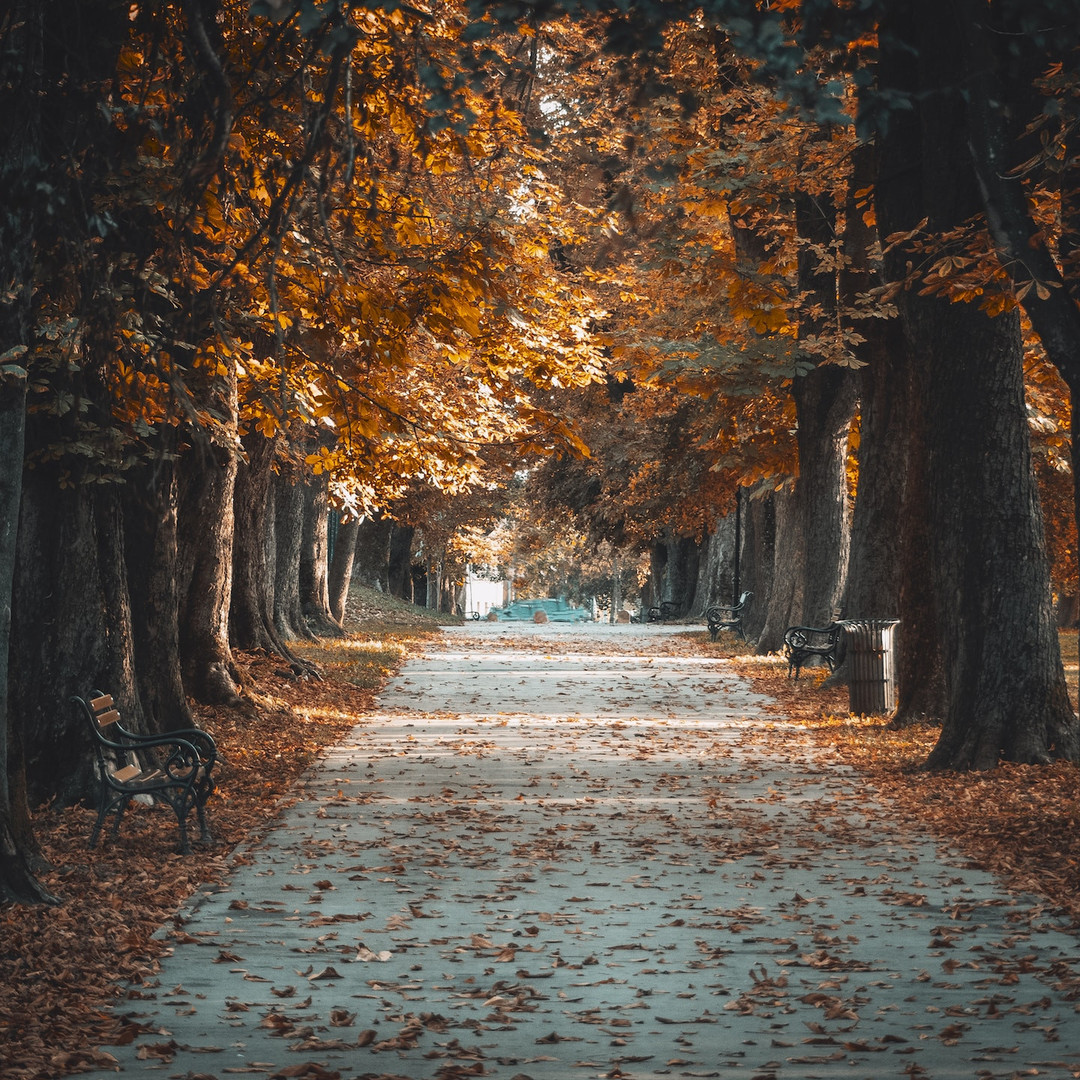 Apartment, house and villa for rent in Osijek