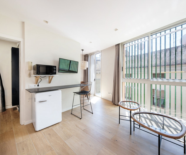 Confy attic with terrace 1 bedroom right in Born