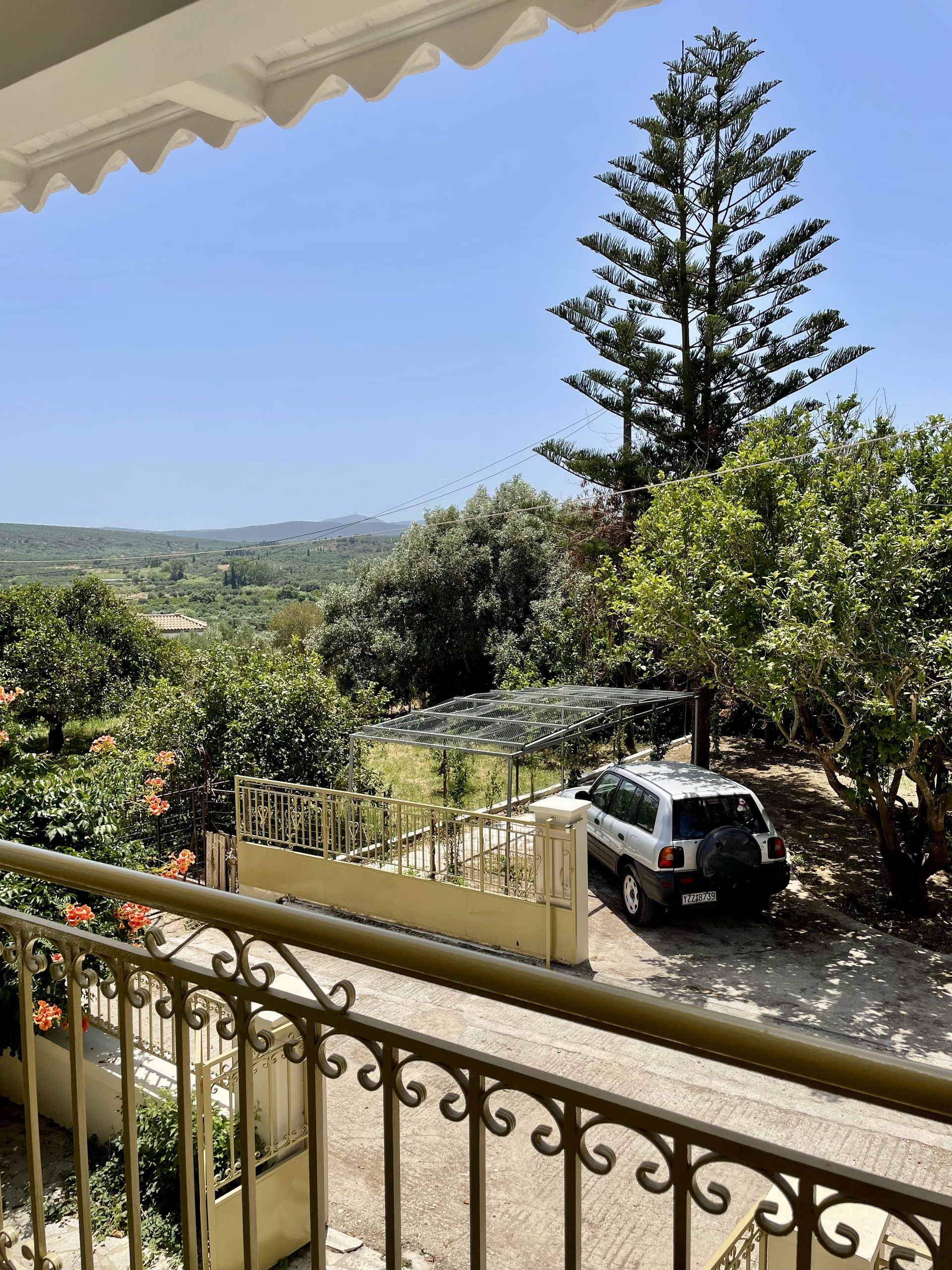 view from the terrace