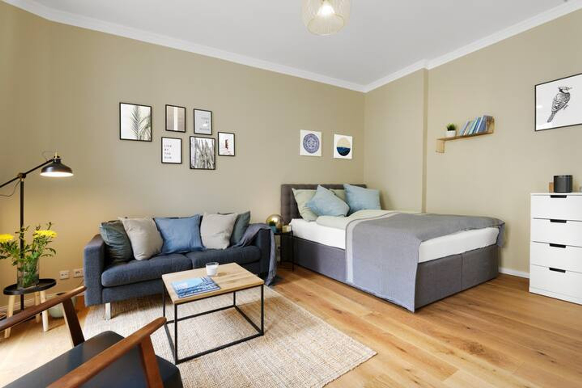 Comfy Sofa to chill