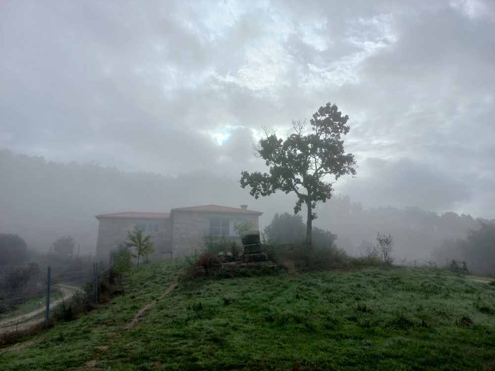 Image #19