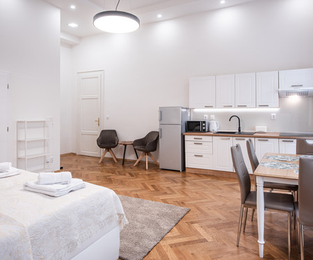 Newly renovated apartment in the center of Prague