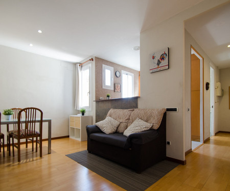 Renovated Apartment, in front of Sagrada Familia