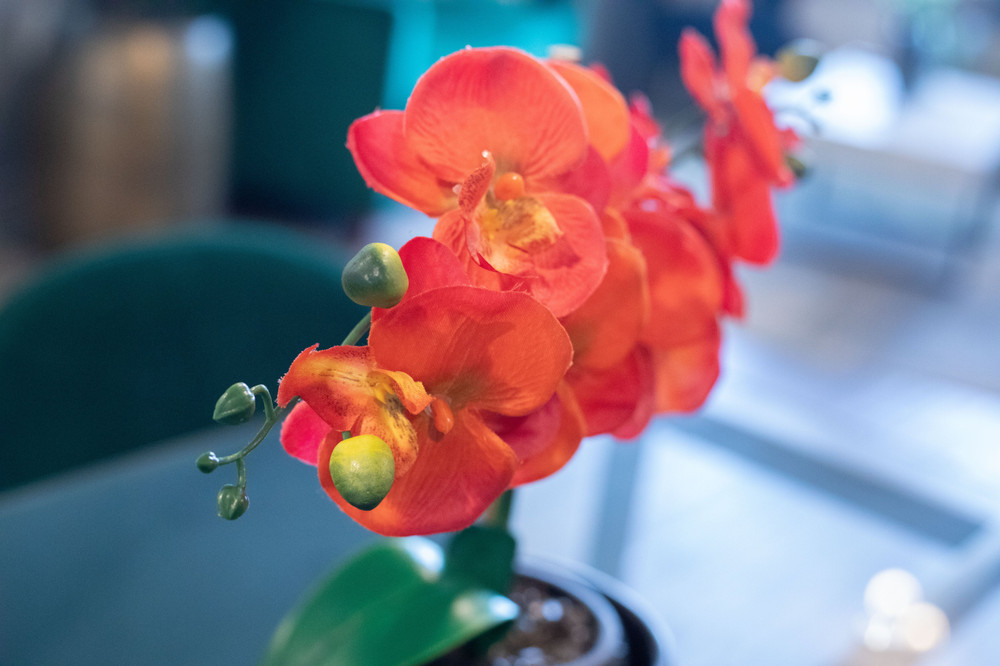 Image #34