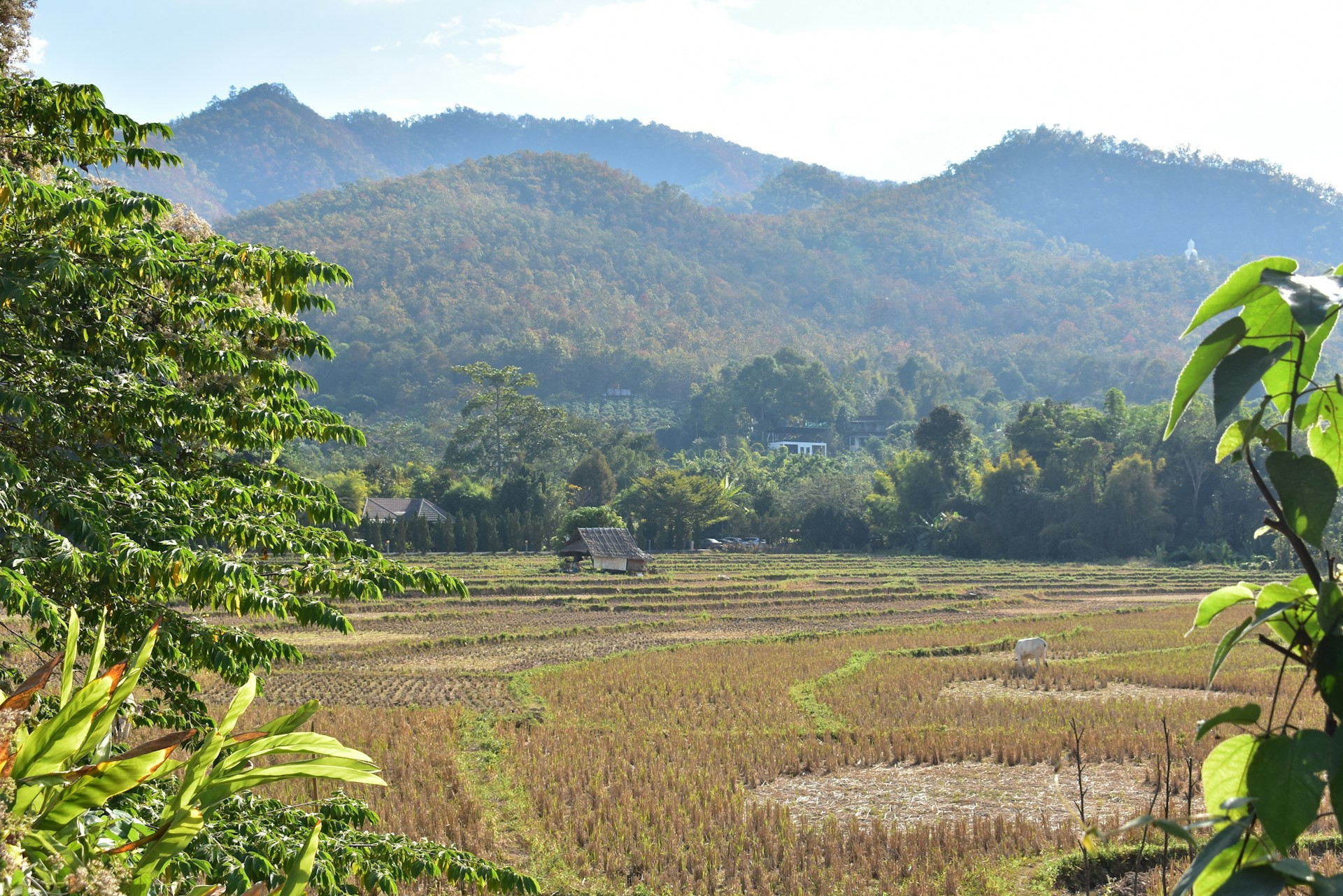 Cheap furnished apartments for rent in Pai, Thailand