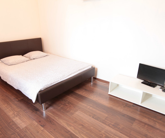Apartment 1+kk, Prague - Vysočany, Freyova I.