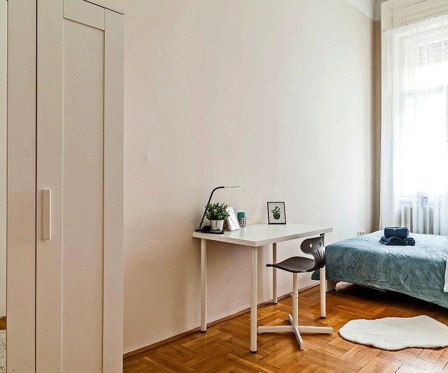 Bright 18 m2 Room in Central Budapest
