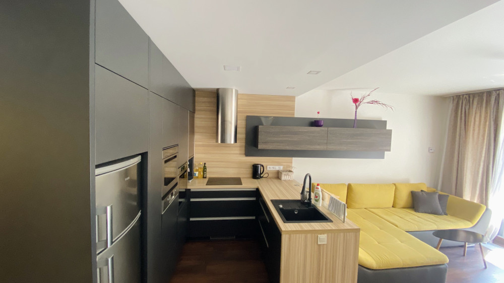 garage1 bedroom+1 livingroom+kitchen -Prague Nusle preview