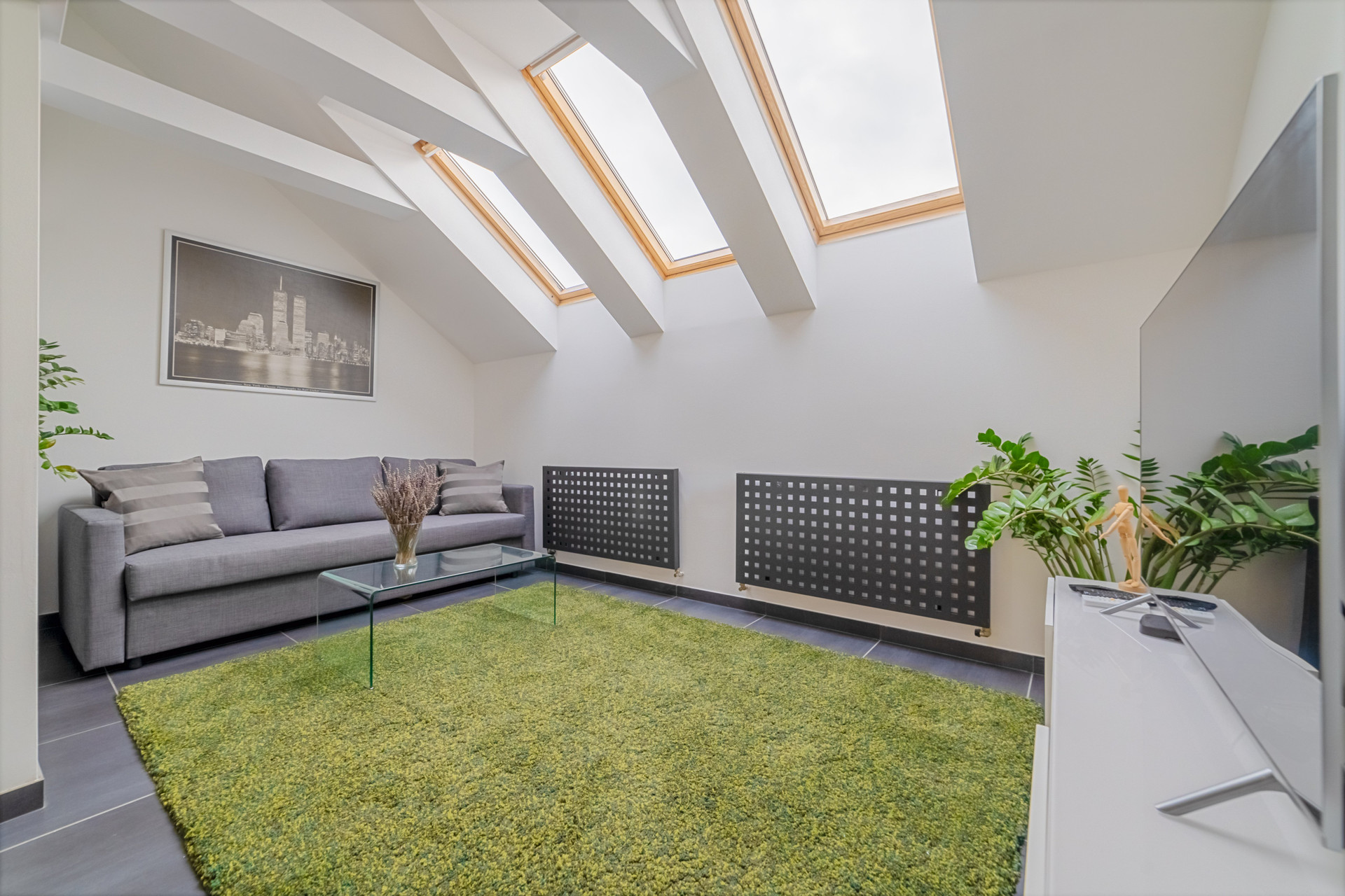 Sofa, green rug and skylights