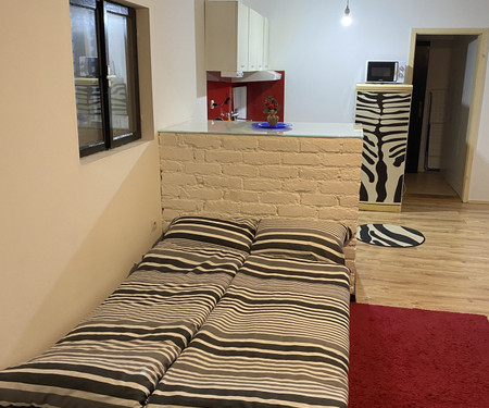 1-bedroom guesthouse + private parking