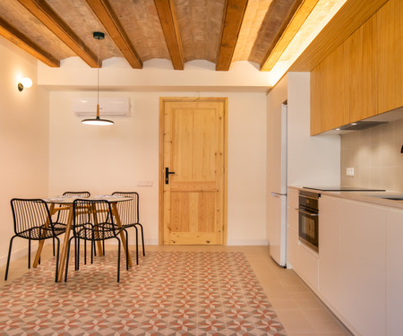 CHEERFUL APARTMENT IN GOTHIC QUARTER AV31